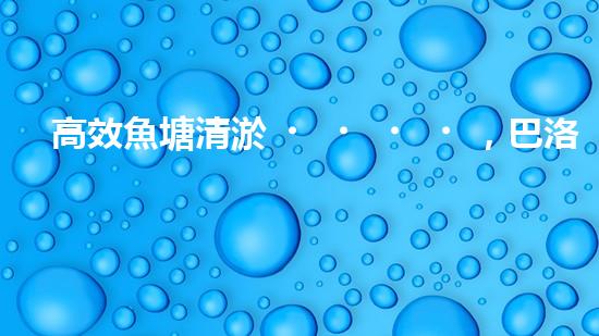 高效魚塘清淤，巴洛仕設(shè)備助力生態(tài)養(yǎng)殖